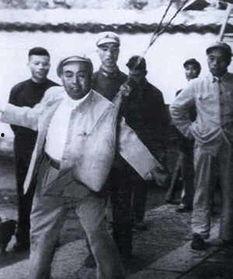 上将许世友在线观看,传奇一生，英勇事迹在线重温